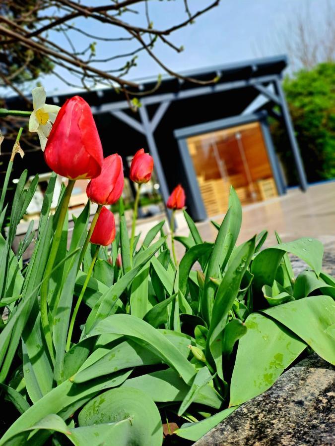 Fuege Villa Luxury & Wellness Balatonfüred Eksteriør bilde